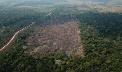 Alertas de desmatamento na Amazônia batem recorde em abril