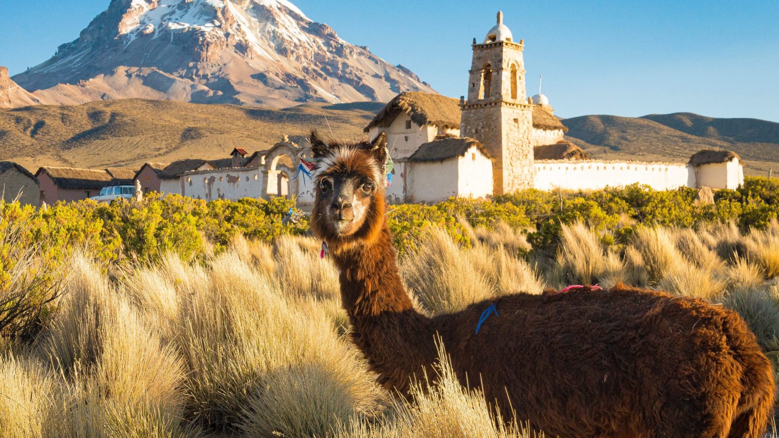 O parque nacional Sajama, na província de Oruro, na Bolívia