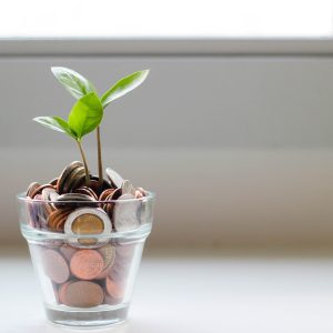 Foto de um copo com moedas e uma planta dentro, simulando um vaso com rendimento da poupança