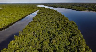 Com novo fundo, Brasil poderia receber até US$ 1,3 bi por ano para manter floresta de pé