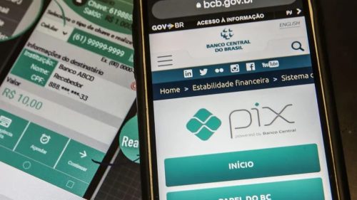 Tela do site do Banco Central com informações sobre o funcionamento do Pix. Foto: Marcelo Casal Jr./Agência Brasil