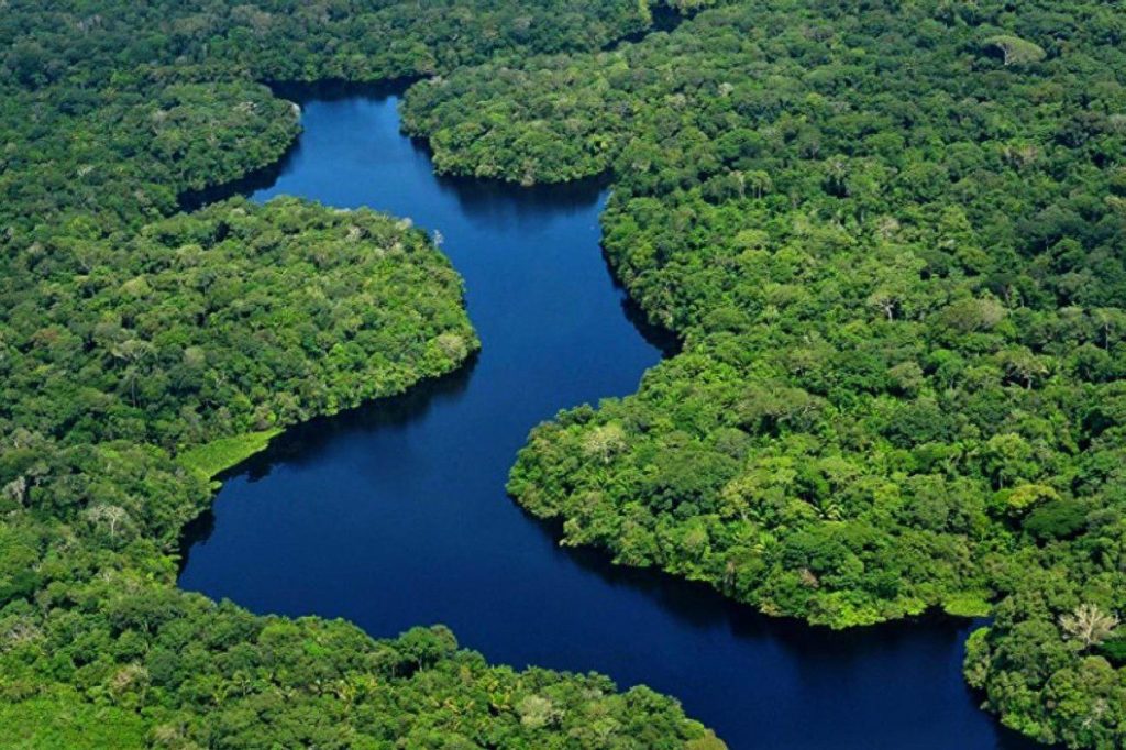 BB, Caixa e BNDES vão lançar ETF para Amazônia e querem levantar até R$ 2 bi