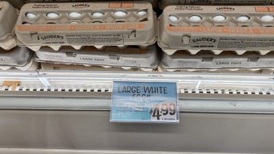 Quer entender a inflação nos EUA? Olhe o preço do ovo