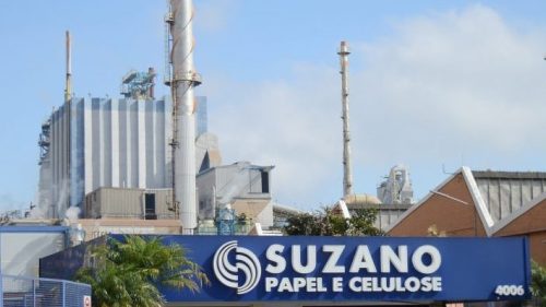 Planta da Suzano, gigante do setor de papel e celulose - Foto: divulgação