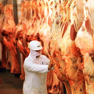 Foto de um funcionário de um frigorífico manuseando carnes. A matéria explica por que as ações dos frigoríficos estão em alta no Ibovespa em 2024, entre as dez melhores.