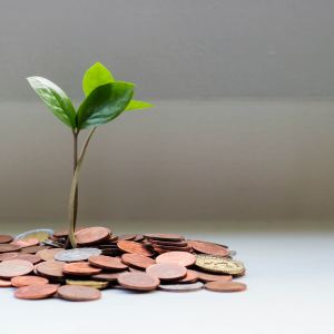 Imagem mostra moedas e uma planta crescendo no meio delas para ilustra reportagem sobre quanto rendem R$ 100 mil no CDB
