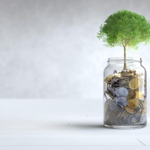 árvore, dinheiro, planta, aposentadoria, poupança, previdência privada, investimentos, aplicação financeira