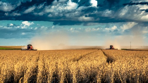 O agronegócio foi um dos motores do PIB do Brasil em 2023. Foto: Herbert Pictures/Getty Images