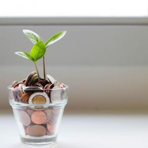 Pote com moedas e planta simbolizando a rentabilidade de investimentos de renda fixa