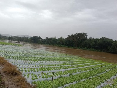 Chuvas: Embrapa e Emater vão lançar plano emergencial para recuperar agropecuária do RS