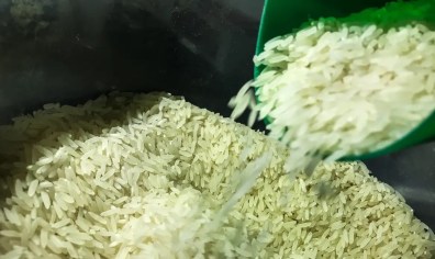 Inflação de alimentos: Brasil vai importar arroz para evitar especulação de preços