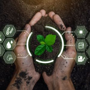 Imagem para matéria sobre tecnologia no agronegócio em que aparece uma mão segurando uma muda de planta. Em volta, vários ícones que representam grãos, água, solo, luz etc.