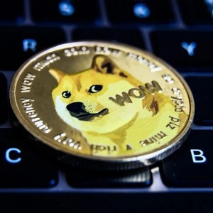 Foto de uma moeda com o símbolo de um cachorro dentro. Ela está sobre um teclado de computador.