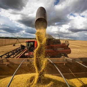 produção de soja, agronegócio, produção agrícola, commodities, brasil